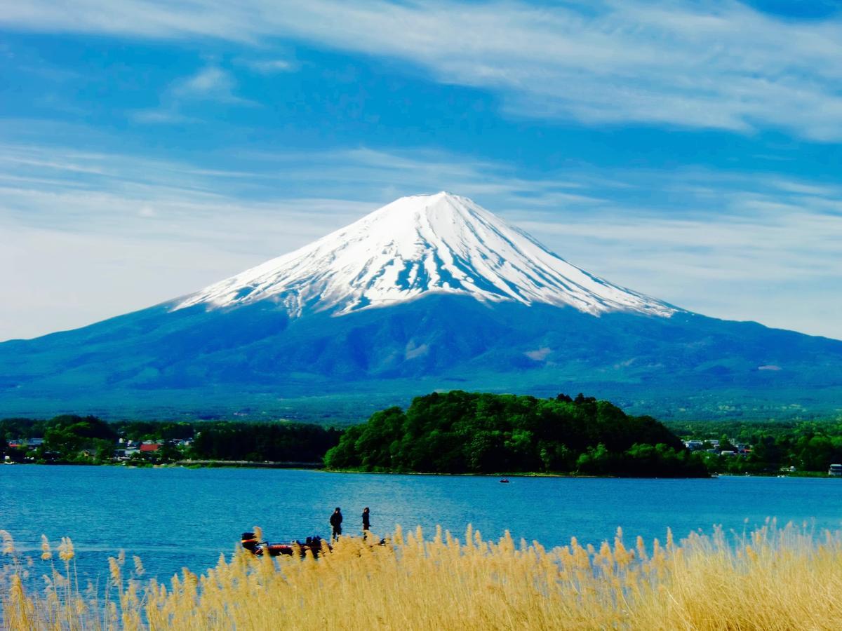富士山猫と犬の宿ペンションブルーポピー 富士河口湖町 エクステリア 写真