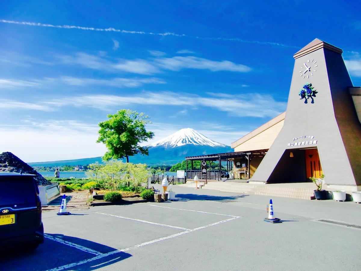 富士山猫と犬の宿ペンションブルーポピー 富士河口湖町 エクステリア 写真