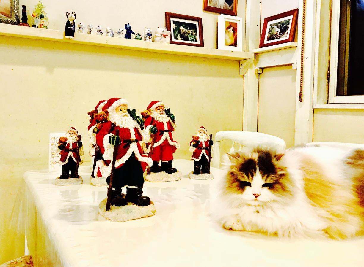 富士山猫と犬の宿ペンションブルーポピー 富士河口湖町 エクステリア 写真