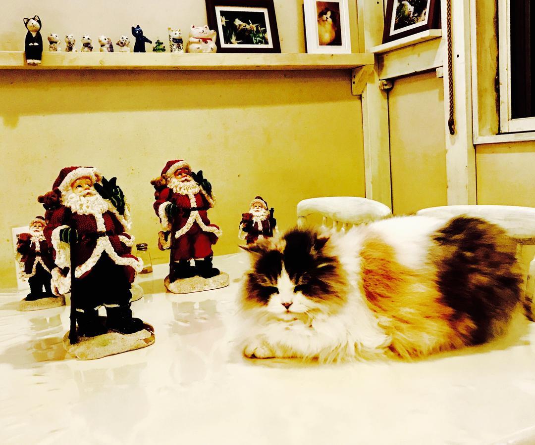 富士山猫と犬の宿ペンションブルーポピー 富士河口湖町 エクステリア 写真
