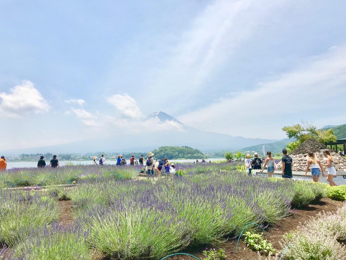 富士山猫と犬の宿ペンションブルーポピー 富士河口湖町 エクステリア 写真
