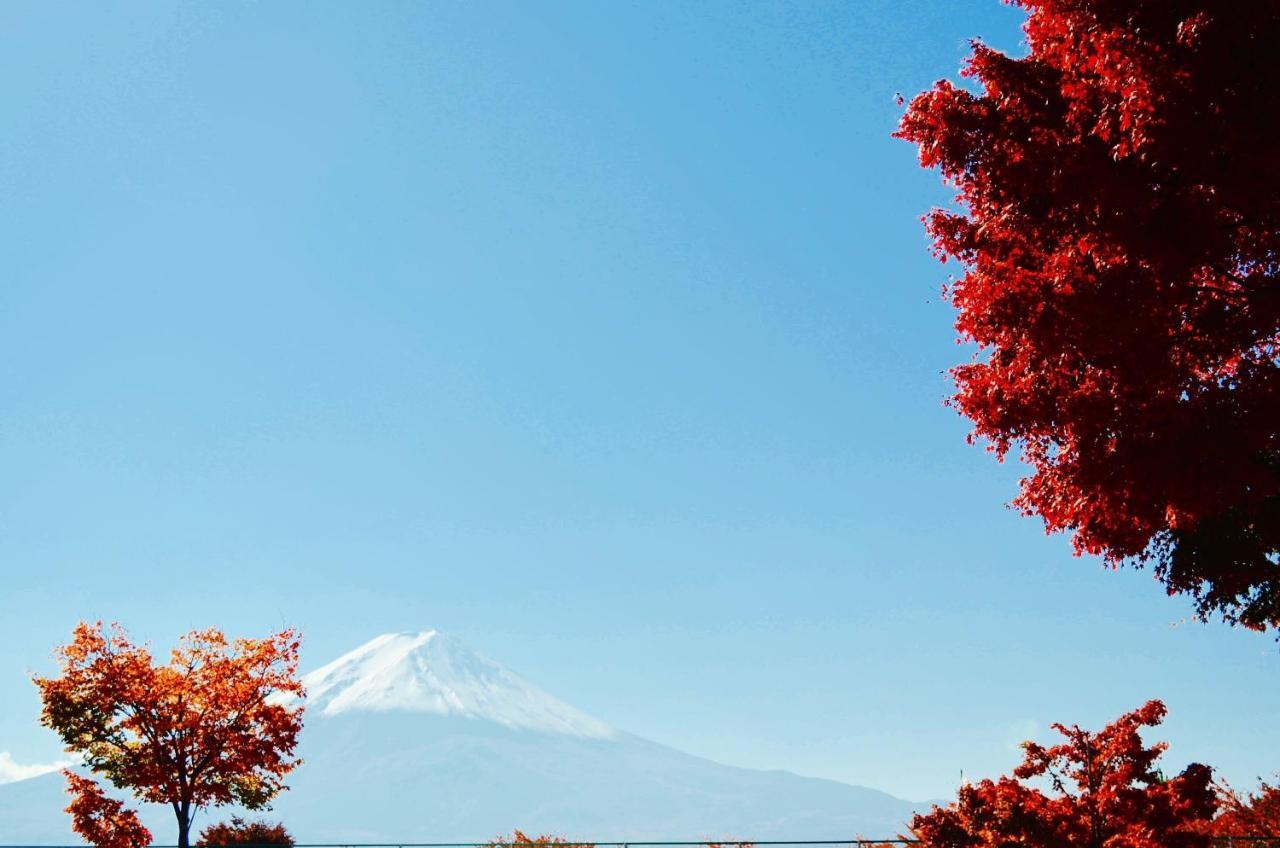 富士山猫と犬の宿ペンションブルーポピー 富士河口湖町 エクステリア 写真