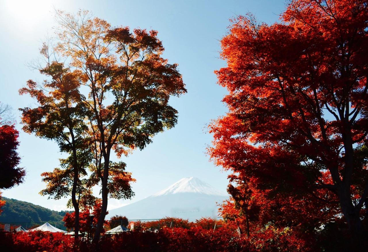 富士山猫と犬の宿ペンションブルーポピー 富士河口湖町 エクステリア 写真