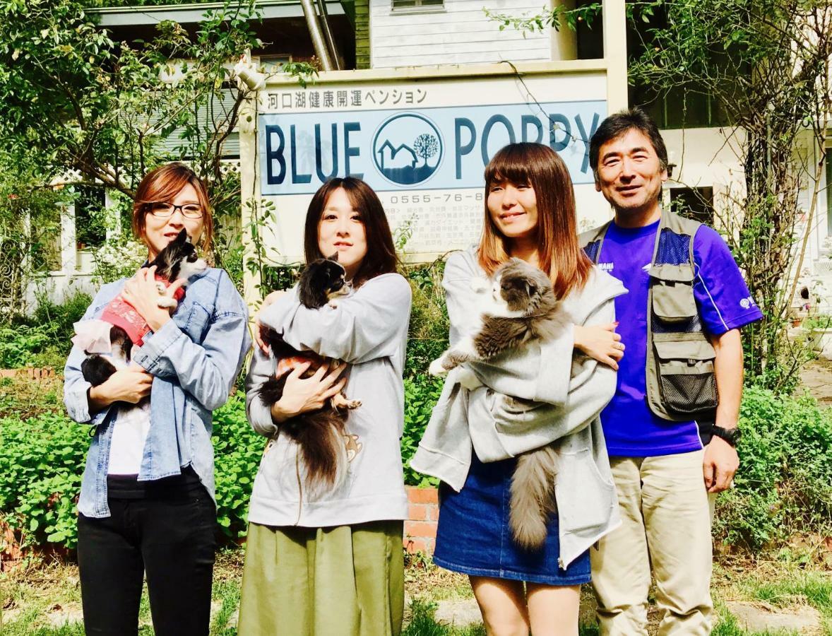 富士山猫と犬の宿ペンションブルーポピー 富士河口湖町 エクステリア 写真