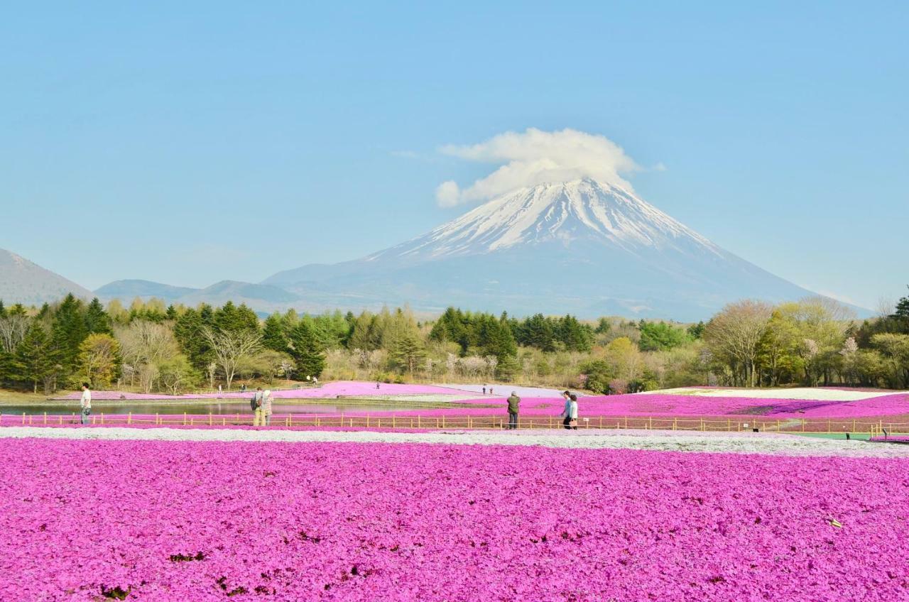 富士山猫と犬の宿ペンションブルーポピー 富士河口湖町 エクステリア 写真