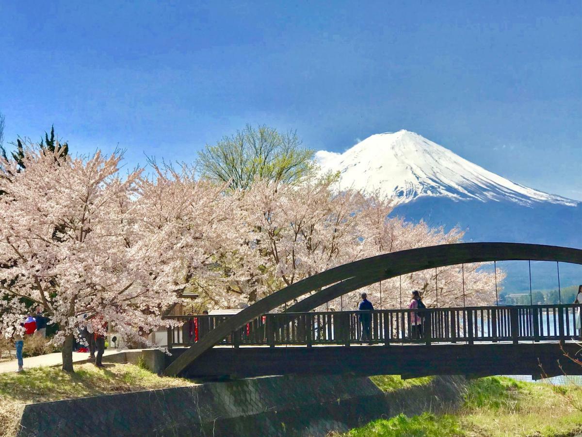 富士山猫と犬の宿ペンションブルーポピー 富士河口湖町 エクステリア 写真