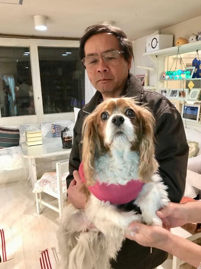 富士山猫と犬の宿ペンションブルーポピー 富士河口湖町 エクステリア 写真