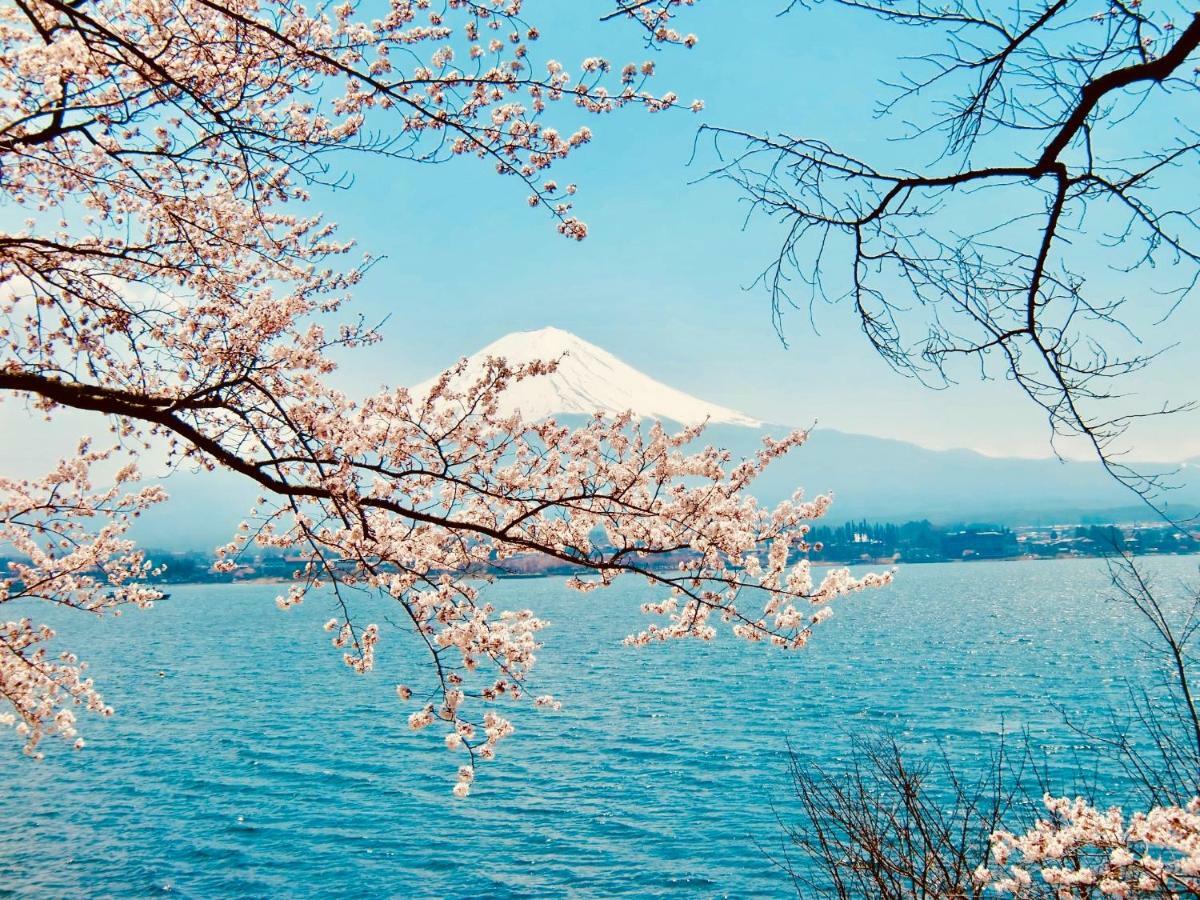 富士山猫と犬の宿ペンションブルーポピー 富士河口湖町 エクステリア 写真