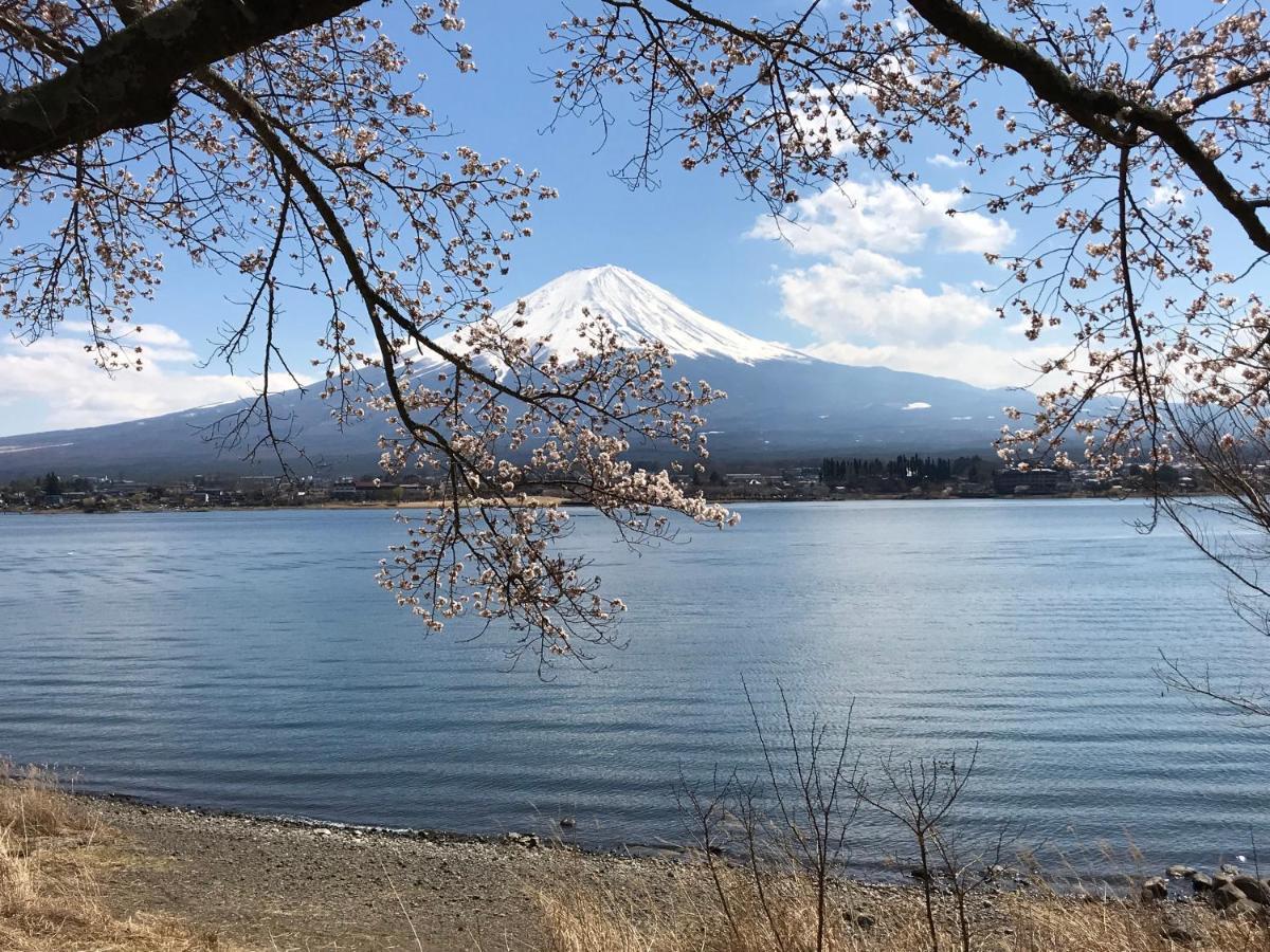 富士山猫と犬の宿ペンションブルーポピー 富士河口湖町 エクステリア 写真